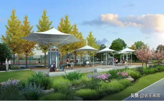 徐州运动公园,在美景中晨跑