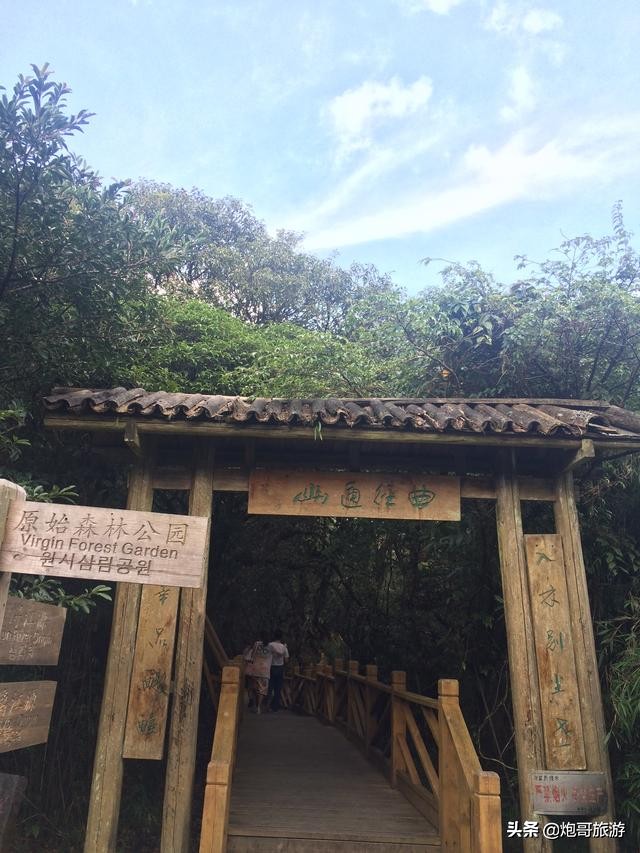 炮哥游山视频全集,炮哥游记