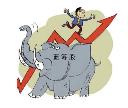 如何区分白马股和蓝筹股,大盘蓝筹白马股是哪些