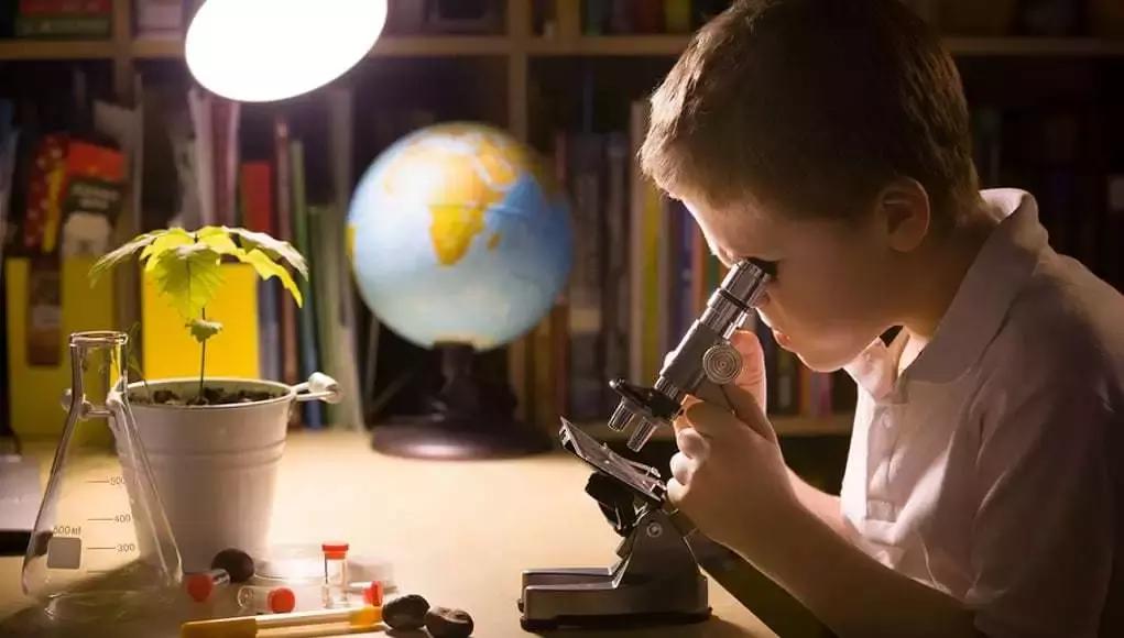 跨学科融合课例小学科学,小学科学课跨学科综合课程