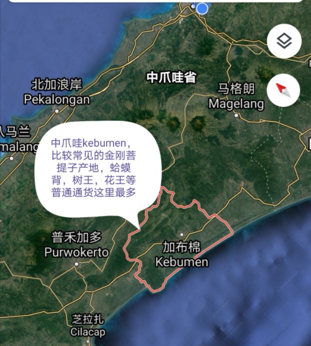 印尼金刚菩提是落地红吗,金刚菩提印尼跟尼泊尔