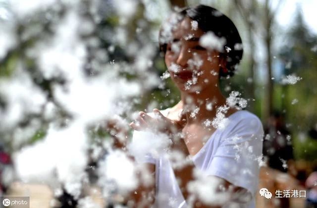 洗烘一体机如何清理毛絮,地上总有小毛絮怎么清理才干净