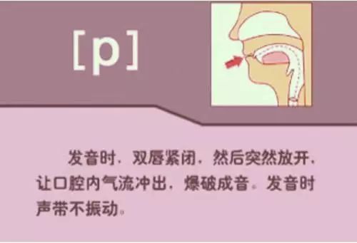 张中军音标发音48个教学视频合集,音标发音48个正确发音讲解视频