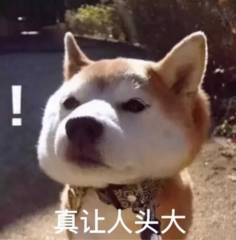 破音、装可爱、塑料兄弟情,他们那么普通却那么自信