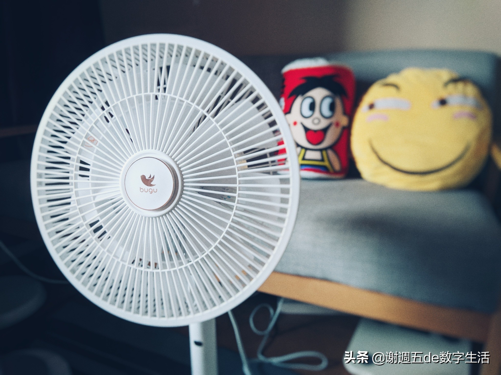 90后有机后浪的慵懒小窝，提升幸福感的5个生活小家电