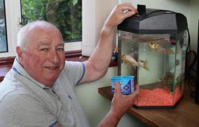 金鱼养多了怎么处理,金鱼养得越来越瘦