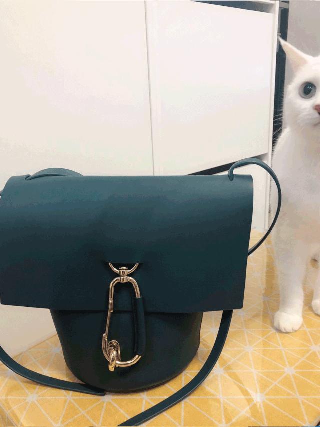 超好看的宠物包,好看又大的宠物包