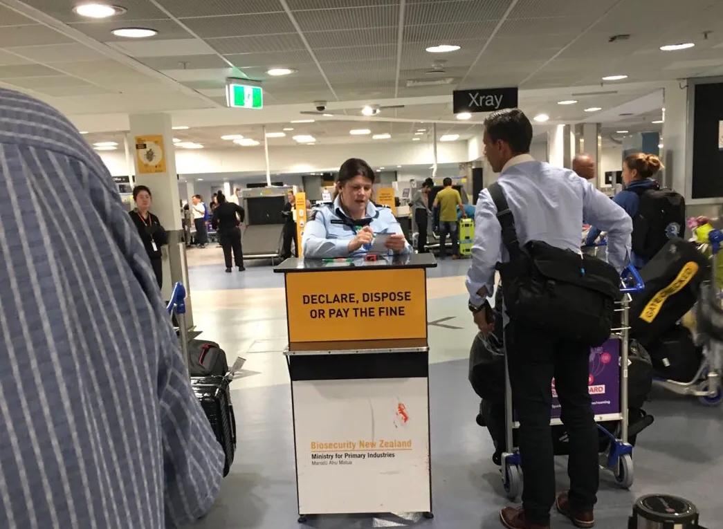 第一次出国旅途注意事项,出境旅游流程及注意事项