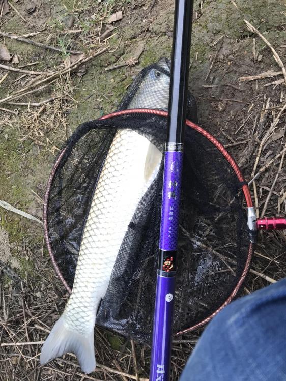 鱼竿类别和钓法,鱼竿手竿怎么选择最好