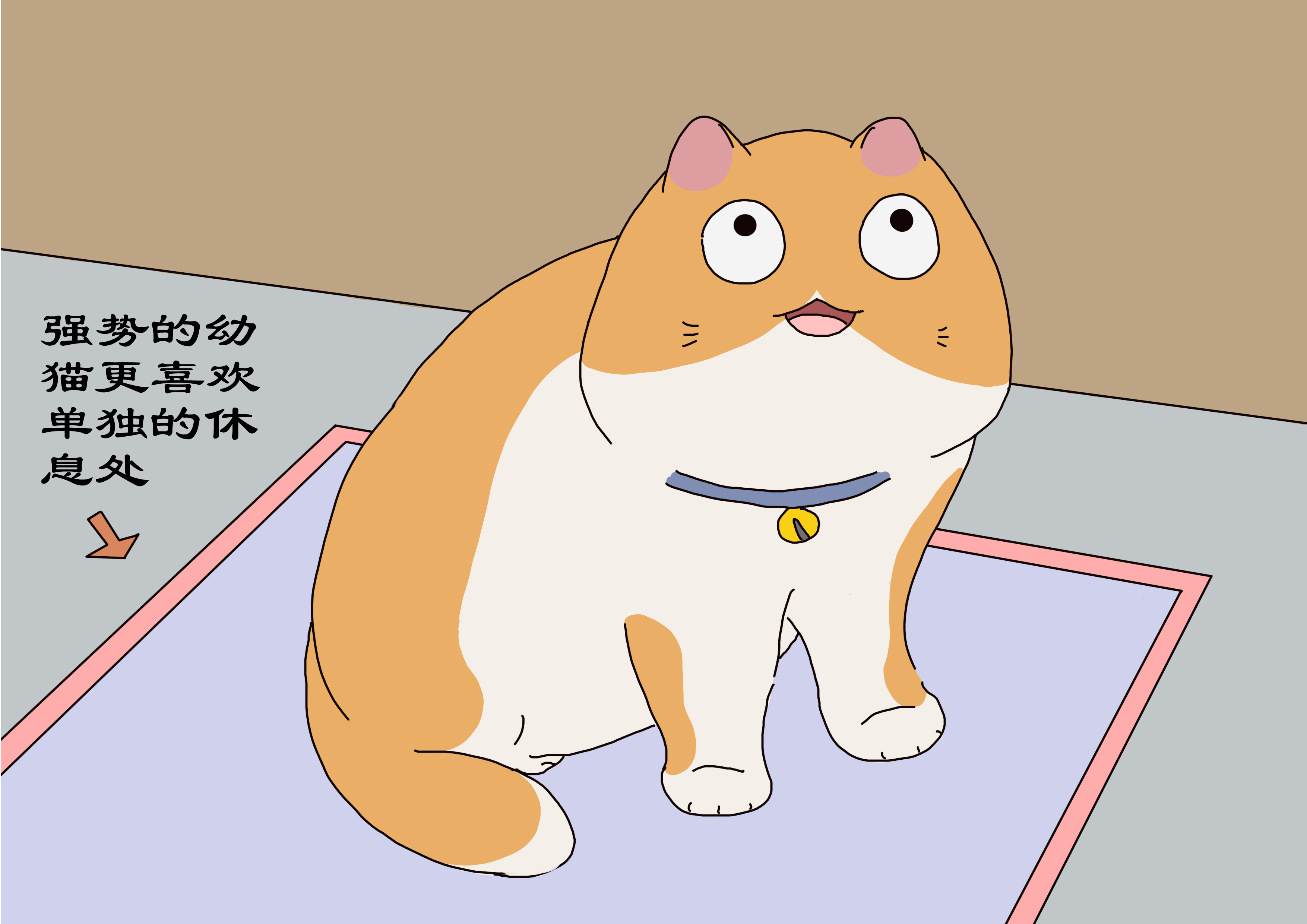 幼猫性格差异的表现,幼猫性格好表现有哪些特点