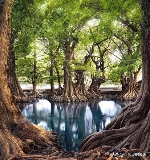 神奇的自然景观竖屏,神奇的自然景观