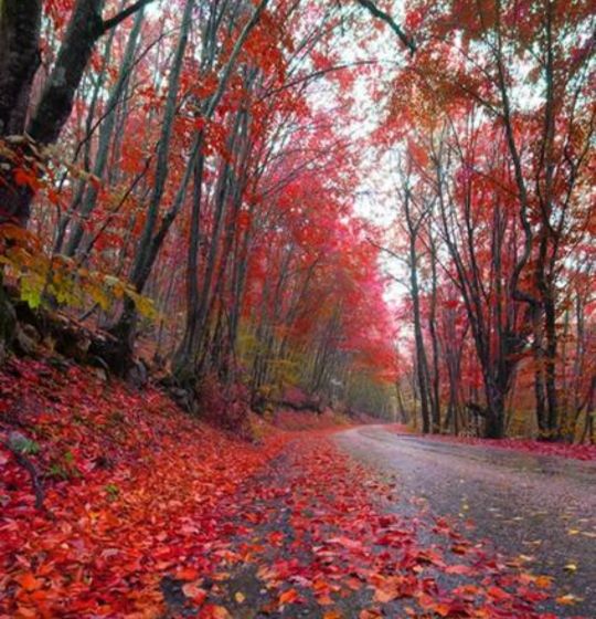 濡堝鐨勭溂鐫涘湪鍝噷,濡堝鐨勭溂闀滀笉瑙佷簡