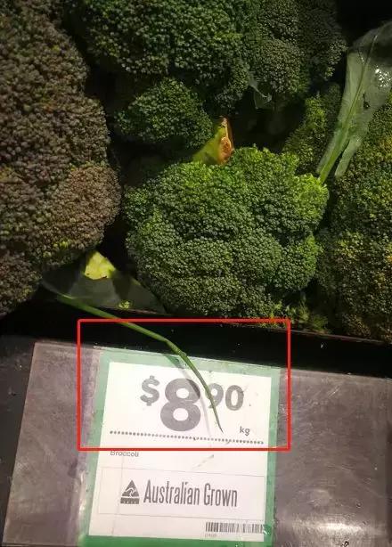 澳洲大龙虾奢华大餐,澳洲大龙虾海鲜大餐