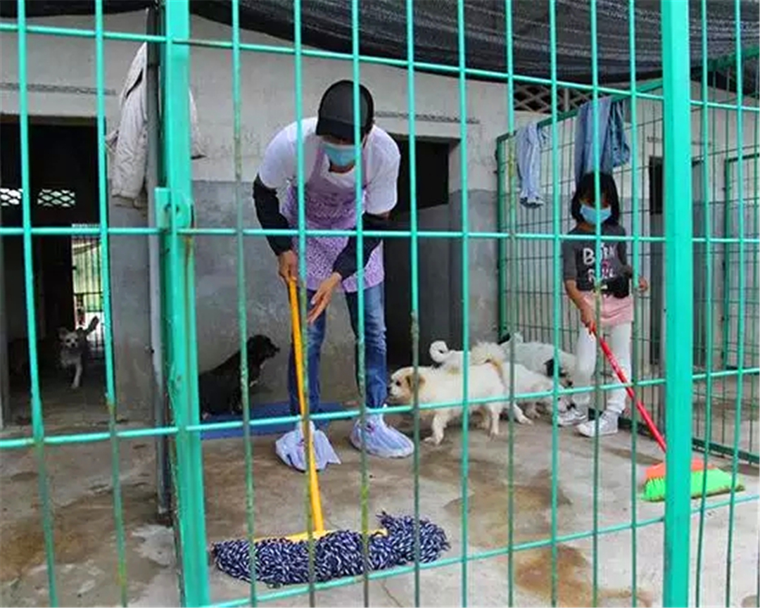 狗狗误舔了除菌液,狗狗不小心舔到84消毒液