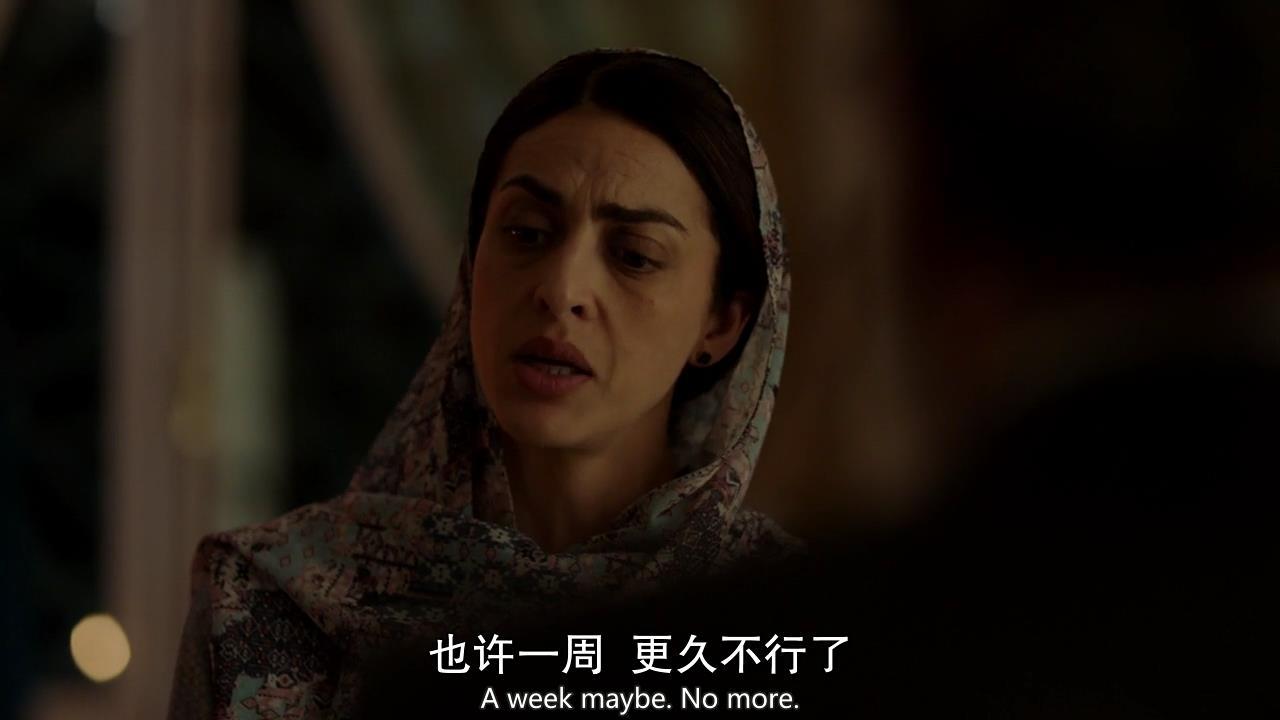 国土安全八季解析,国土安全s8评价