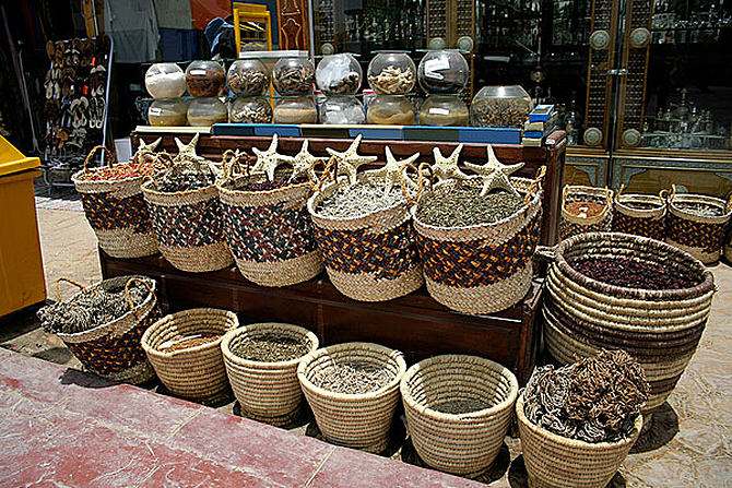 派大星能进食吗,派大星有几克