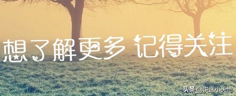 迷糊护士与毒舌医生的日常‖小说《这事儿我说了算》