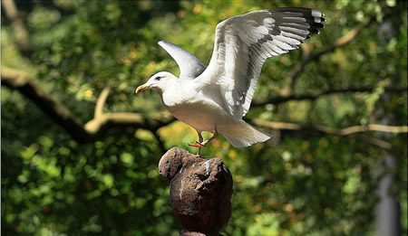 去了广州必去的十个地方,到广州最值得去的地方