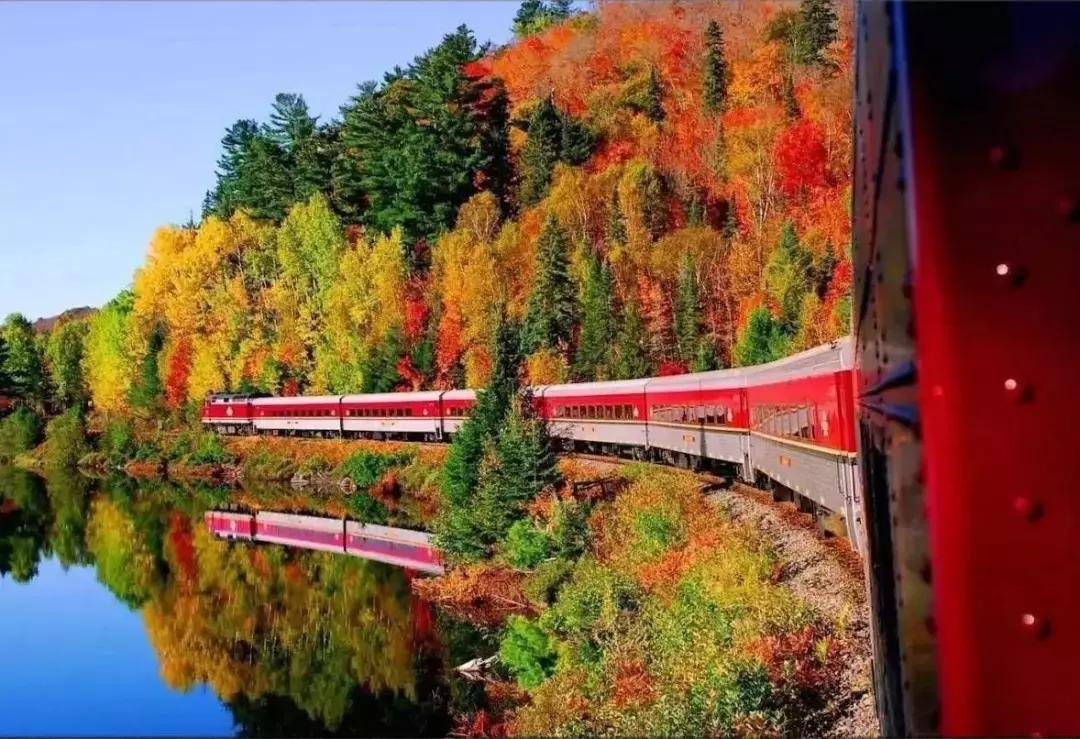 加拿大打工可以开店吗,加拿大自己可以做什么生意