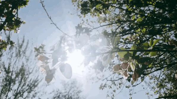 回收垃圾创业成功案例,怎么靠回收垃圾赚钱