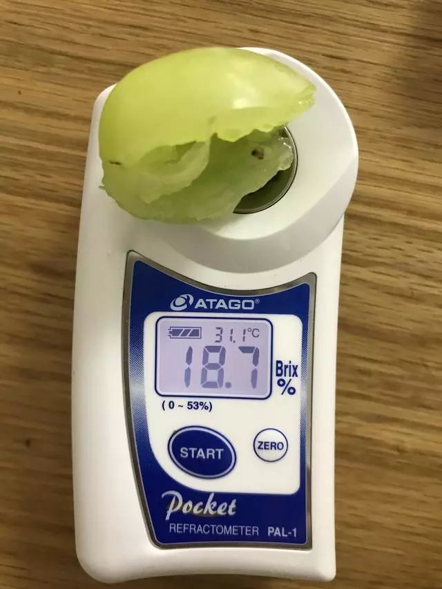 阳光玫瑰网红水果,阳光玫瑰水果视频