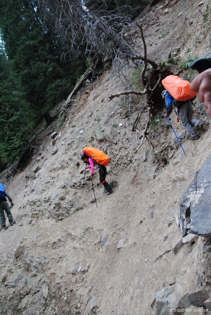 狼c调简谱教唱,狼c