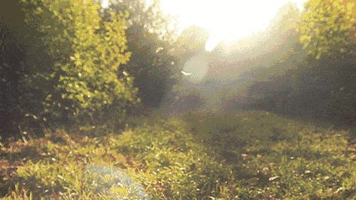 秋天香水橘香,秋季香水