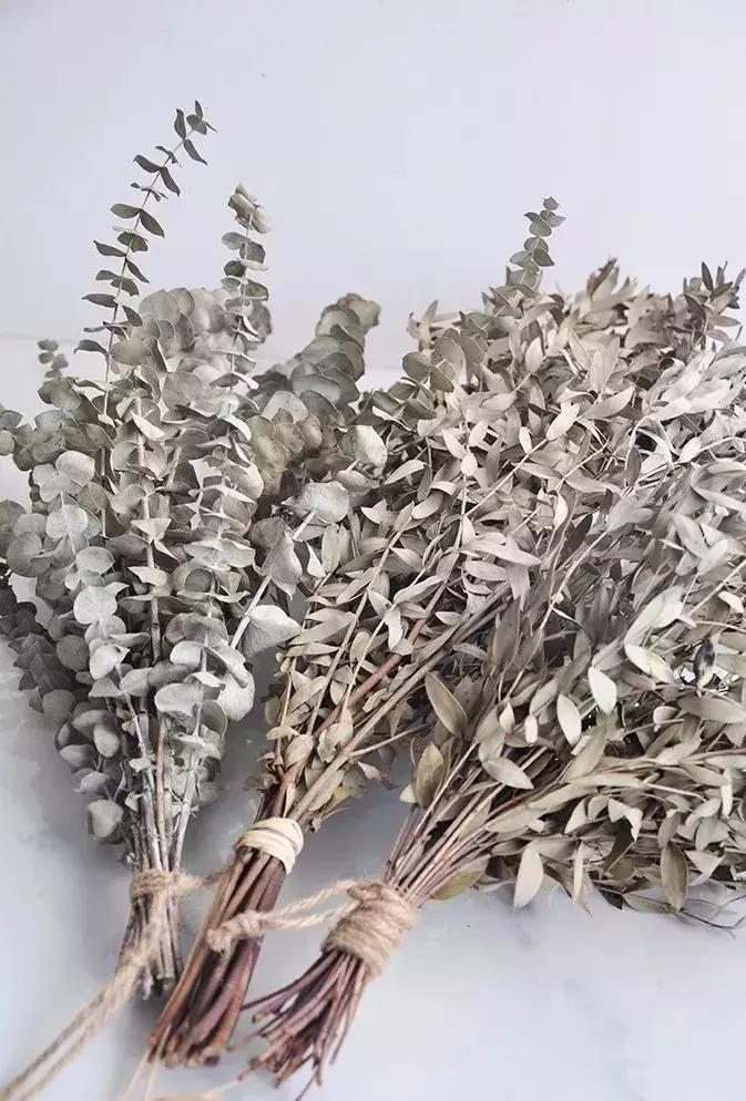 8种能做干花的鲜花,男朋友送的花就这么做