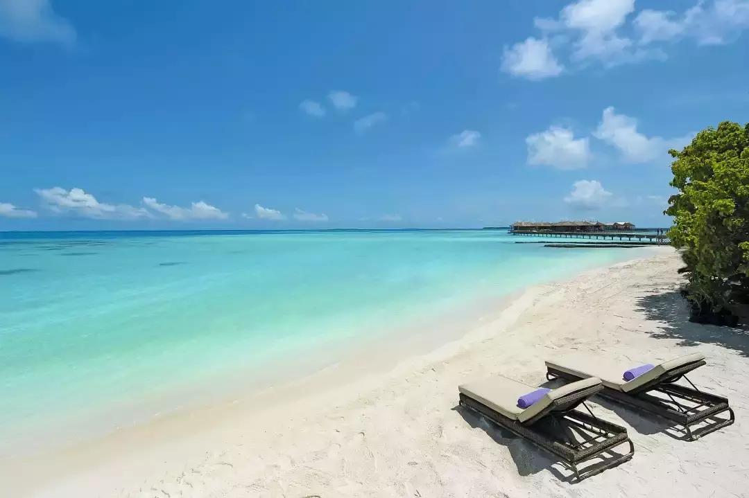 理想生活海景咖啡馆,理想生活