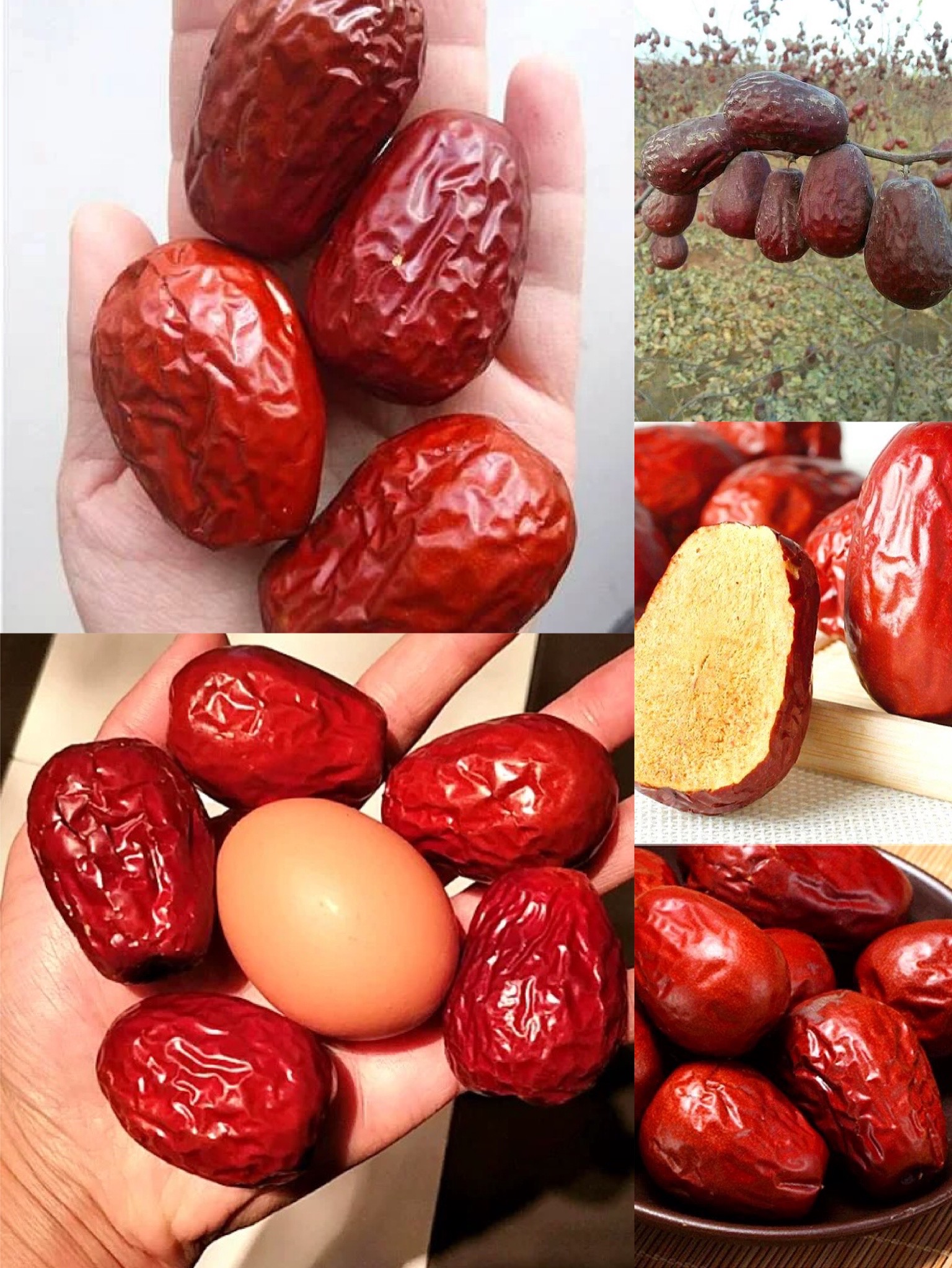 种草特产好物推荐,最全新疆特产店