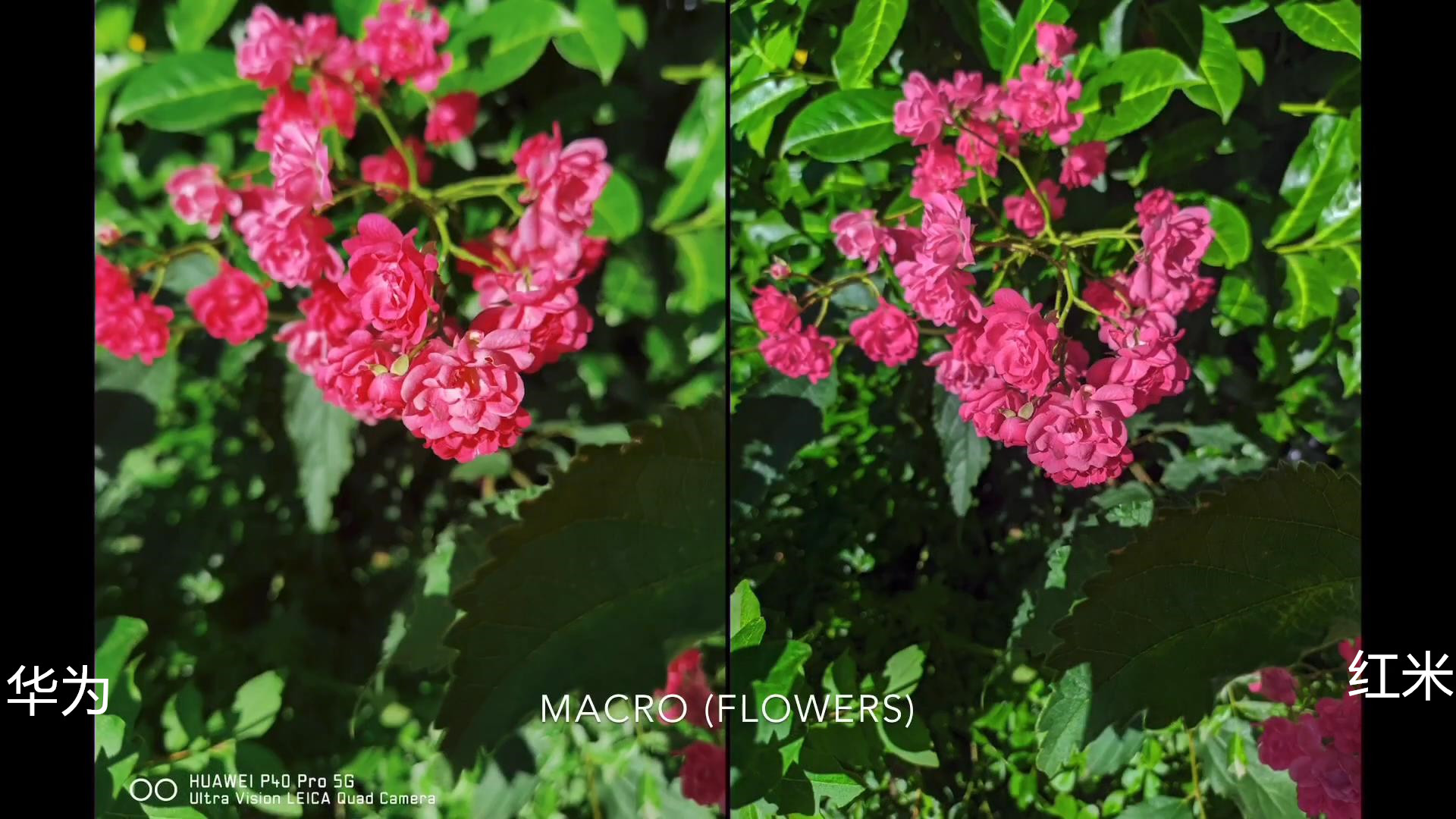 华为p40pro跟小米11pro拍照,华为p40pro和小米11哪个拍照好