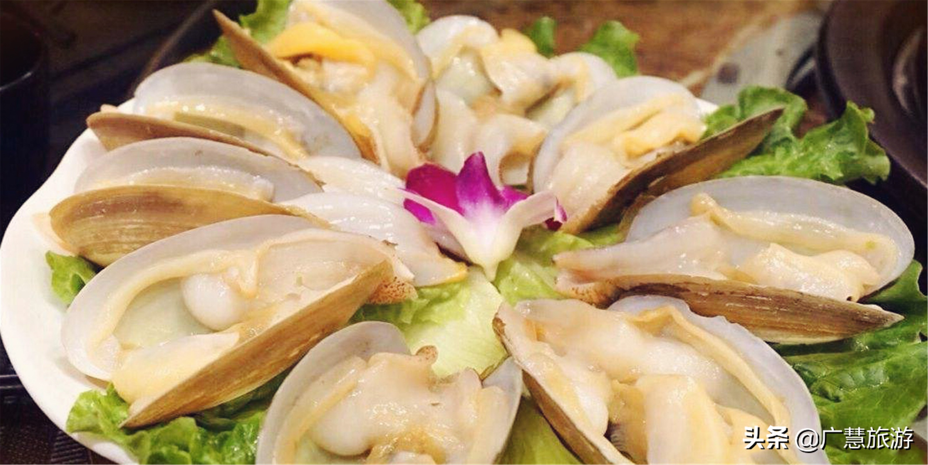 日照旅游住宿海景房,日照旅游住宿攻略推荐