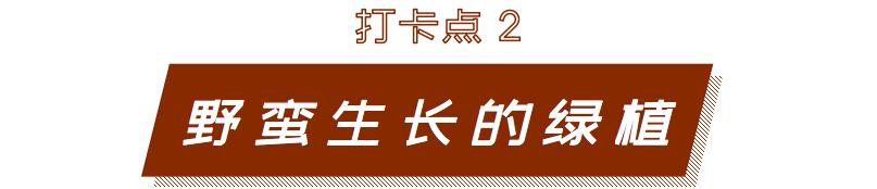 深圳宝安喝茶的世外桃源,宝安西乡世外桃源