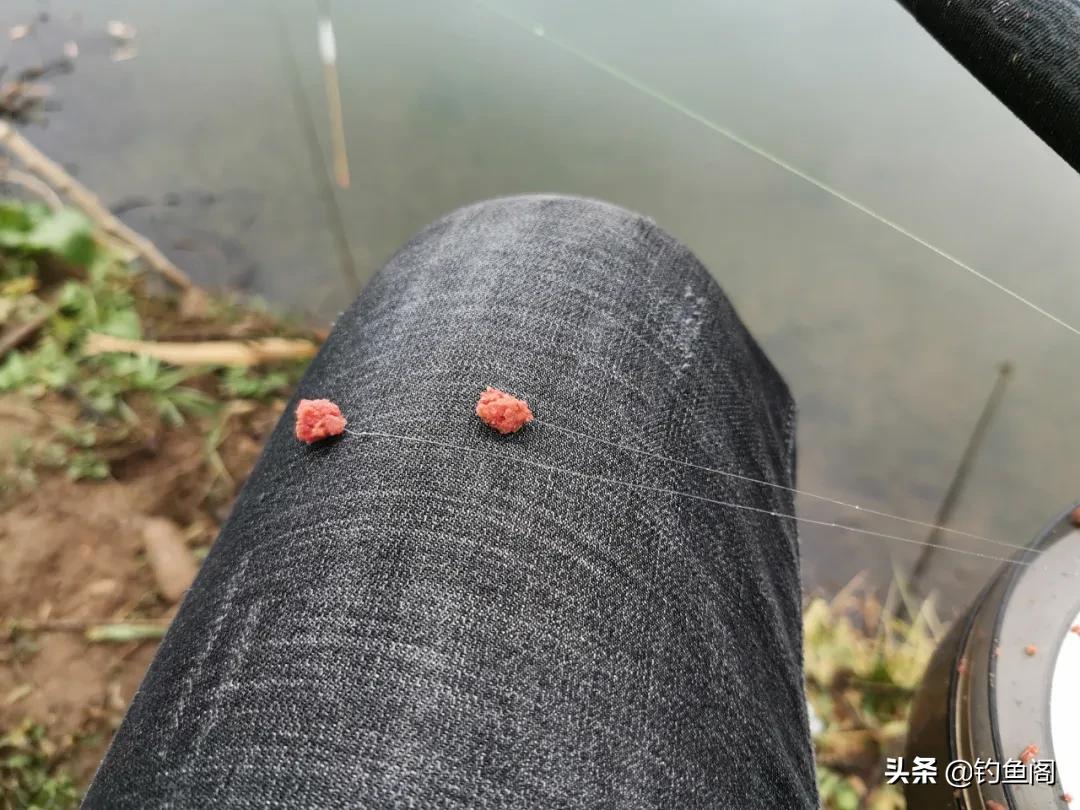 鱼钩和鱼线怎么选择搭配,鱼钩如何正确搭配鱼线