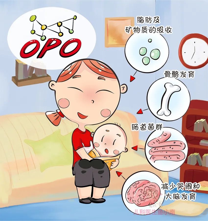 奶粉的选购技巧,如何正确挑选一款好奶粉