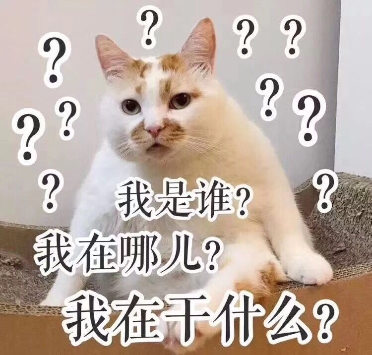 php入门学什么框架,phpcurl