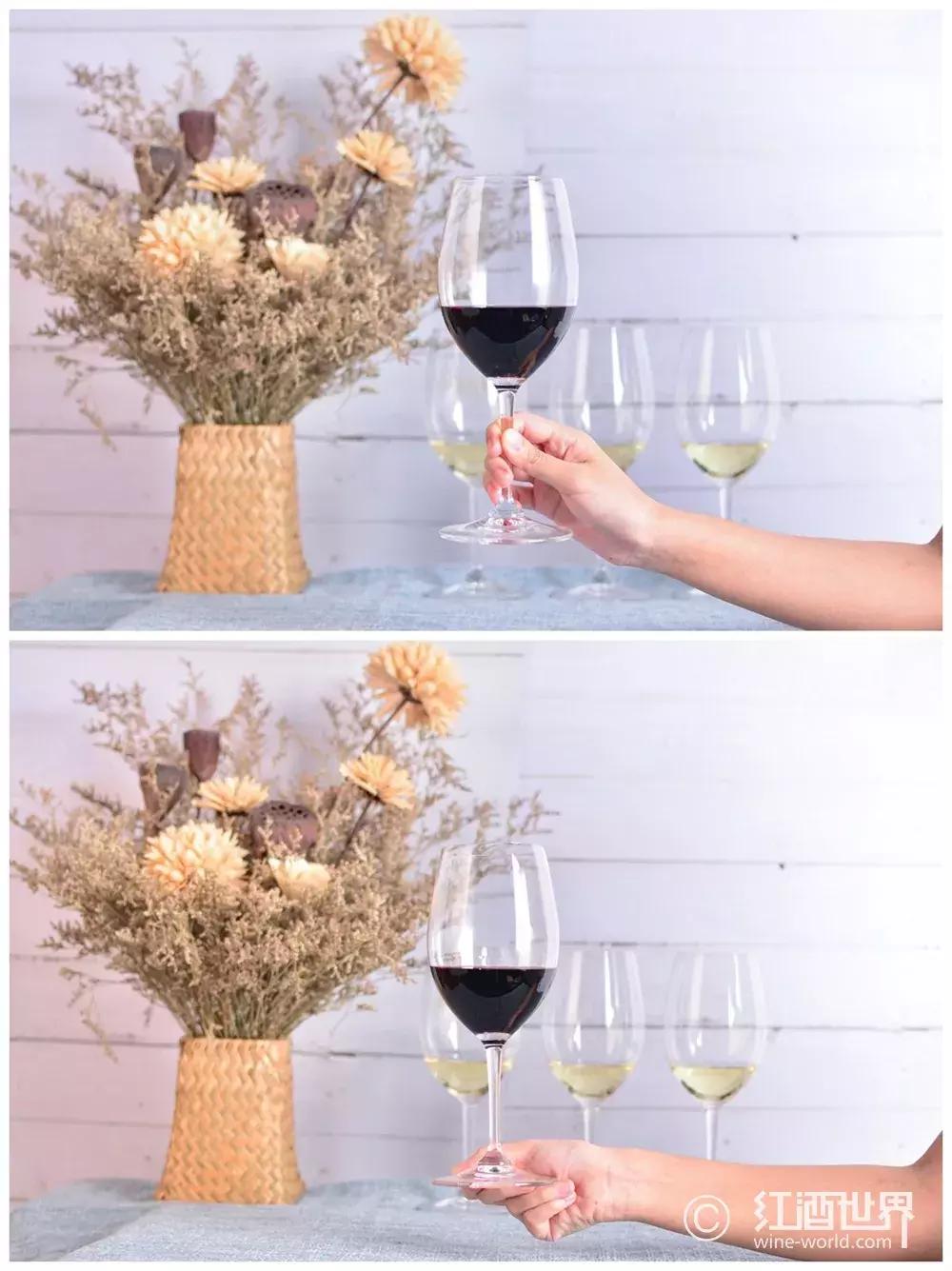 葡萄酒品鉴会礼仪,葡萄酒品鉴之术语