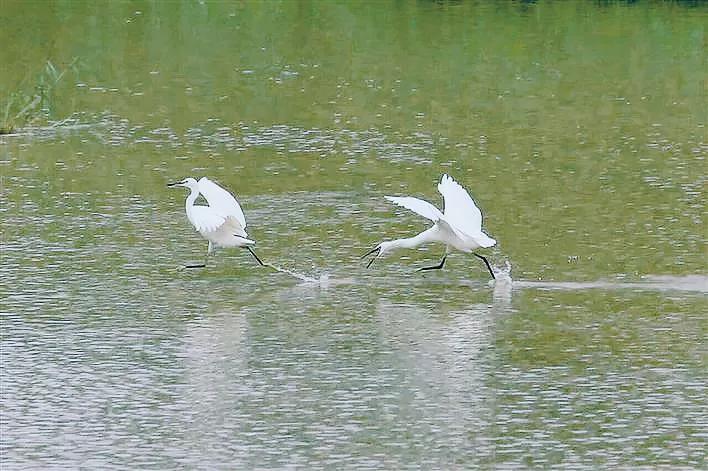 住在深圳光明新区好不好,住光明来南山上班