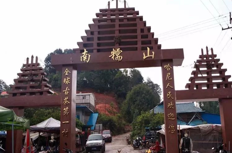 普洱茶产区茶山头分布图,普洱茶四大茶区口味