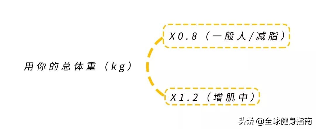 蛋白粉什么时候吃最好,蛋白粉怎样吃才是正确的