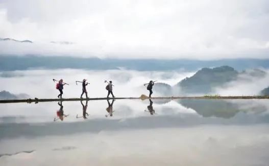 早安营口直播,早安营口最新版