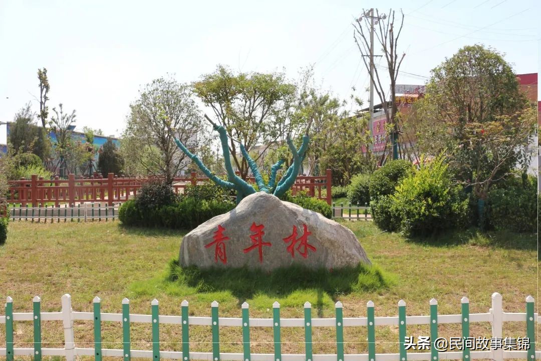 杞县葛岗镇张博士寨网红,杞县葛岗镇张博寨村