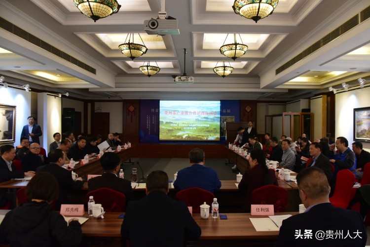 贵州茶博会慕德贵,贵州绿茶入围名单