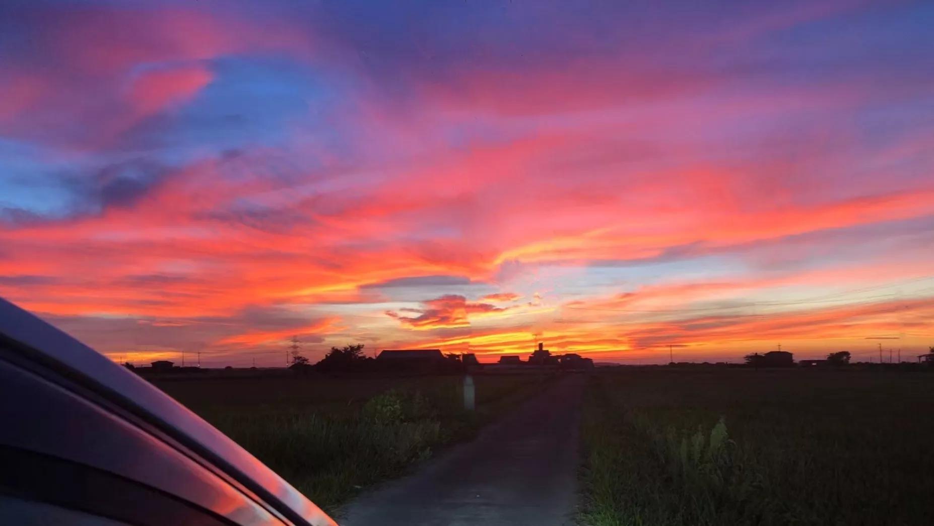 防止蚊虫叮咬的植物,牛防止蚊虫叮咬的药