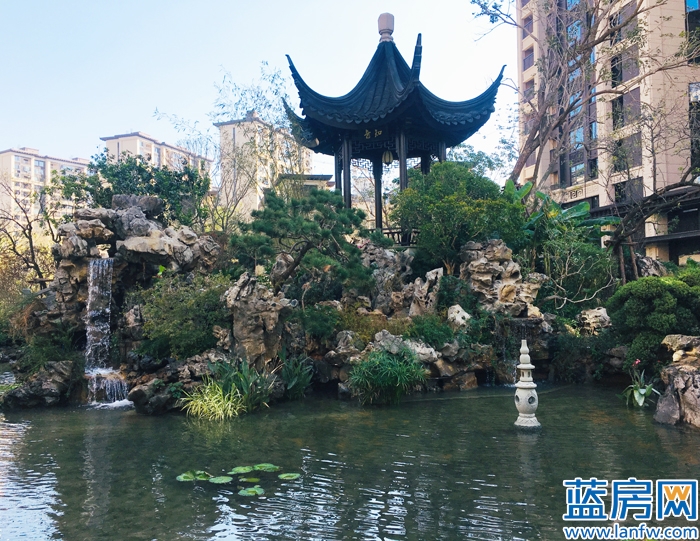 龙岩蓝房最新消息,蓝房探盘