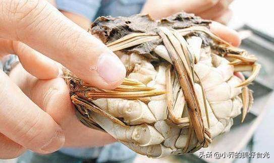金秋螃蟹的正确吃法,金秋吃螃蟹好不好