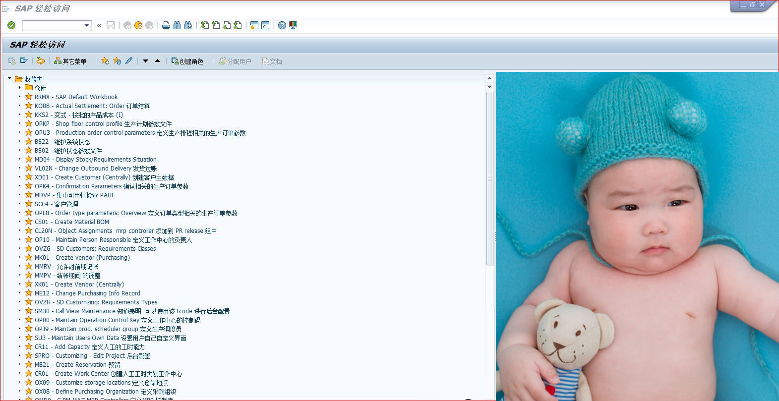 sap界面背景颜色如何设置,sap桌面图片