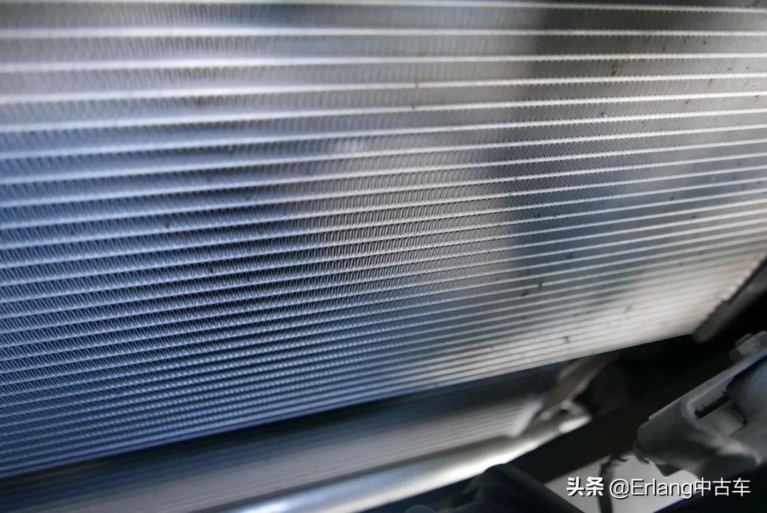 消失的陆地中文版,消失了的陆地