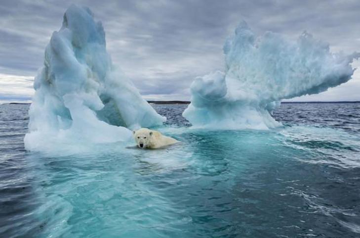 南方冬天最冷的省份,冬天最冷的南方省份
