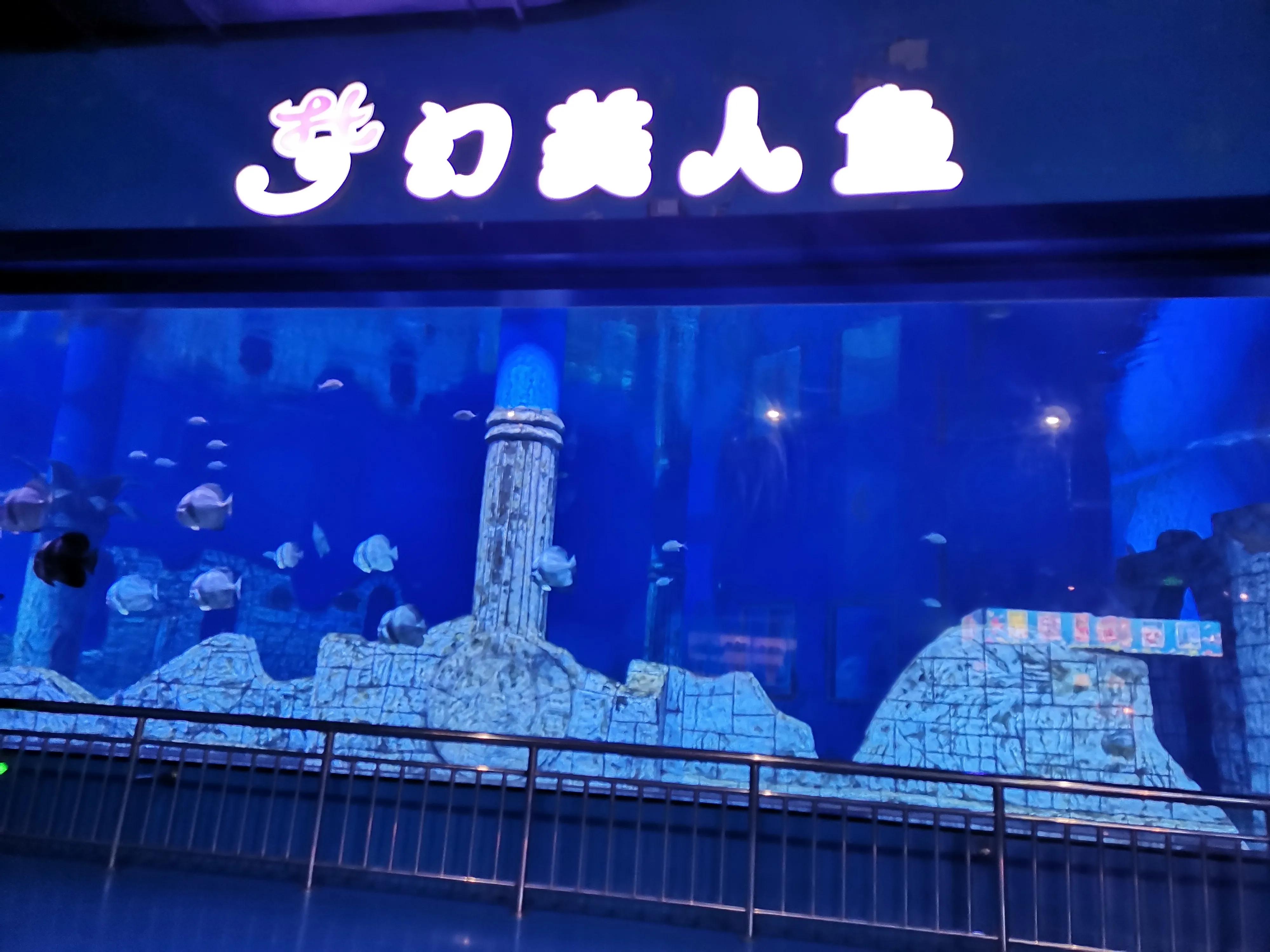 潍坊极地世界,寿光极地海洋世界人多吗